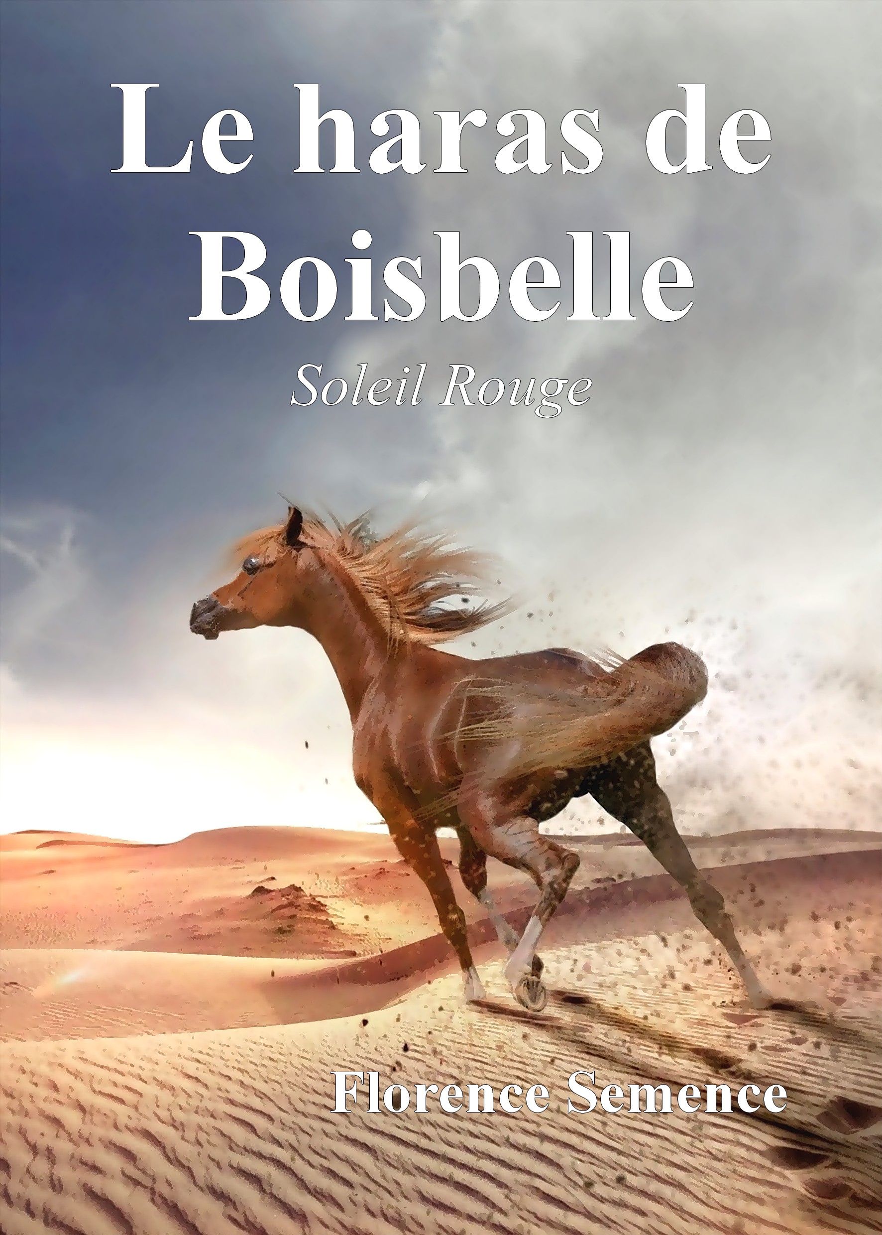 Tome I - Le haras de Boisbelle